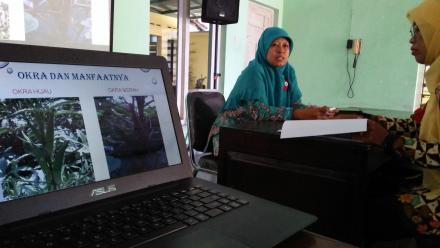 Program Pokja III TP PKK Bantul, Tanaman OKRA : Kaya Manfaat